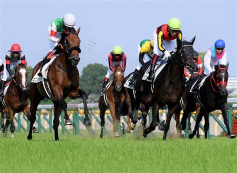 2002年 馬|生年[2002]の競走馬検索結果｜競馬データベー